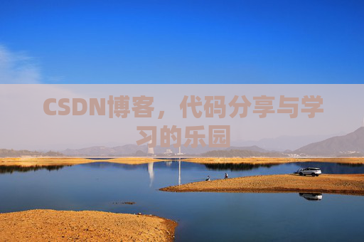 CSDN博客,代码分享与学习的乐园